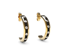 Load image into Gallery viewer, Domaur model gold and wood earrings
